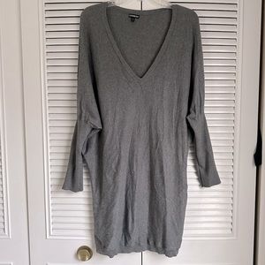 Express Long Sweater Tunic